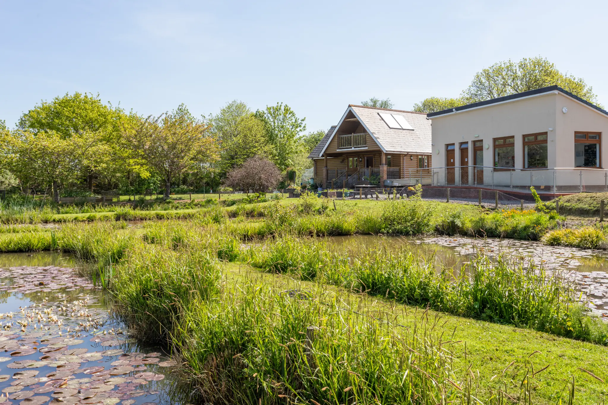 Alternative angle of the lodge showing the lily pond and reed beds