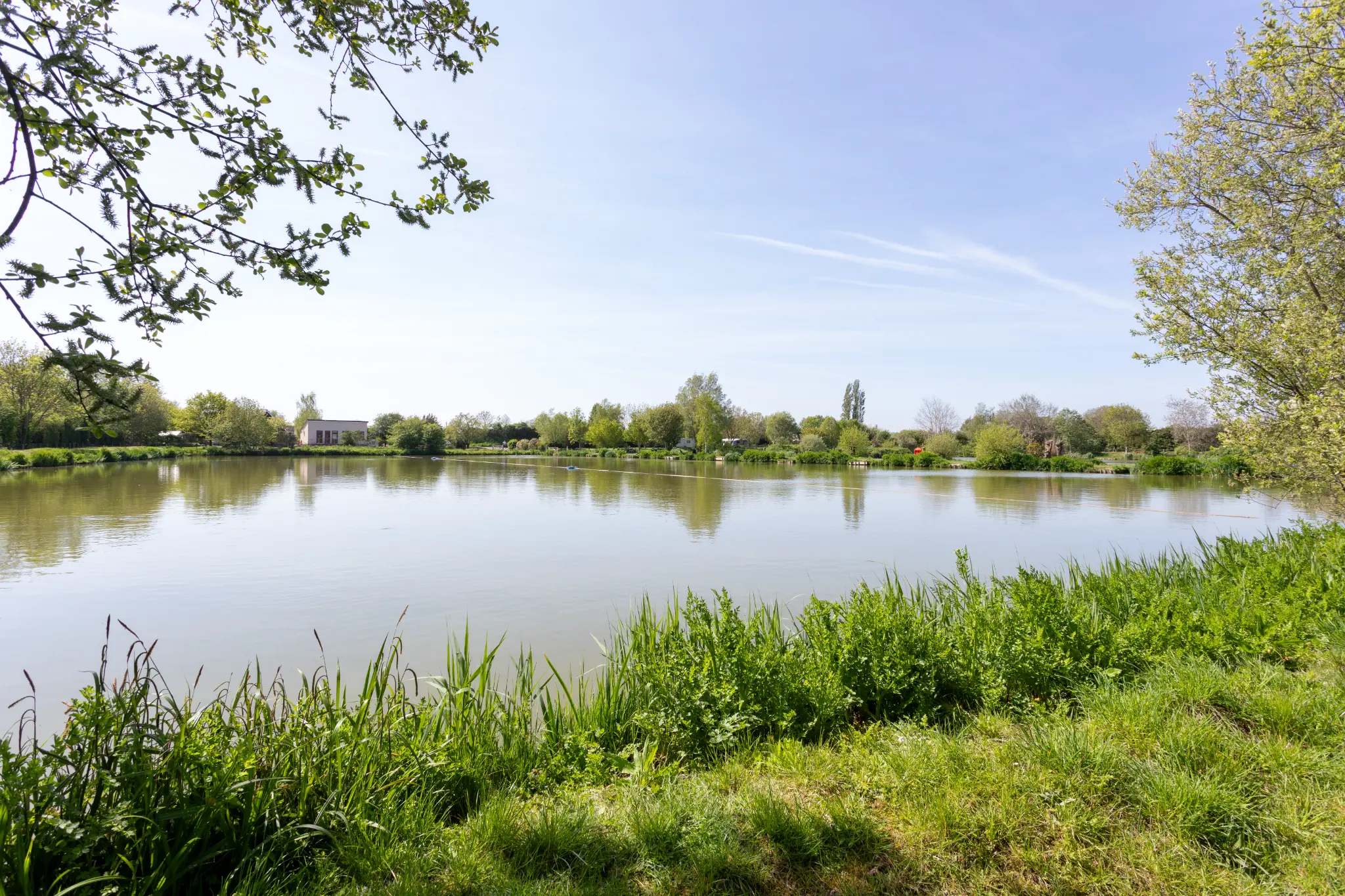 Wide panoramic view across the main lake at The Sedges with reeds in the foreground